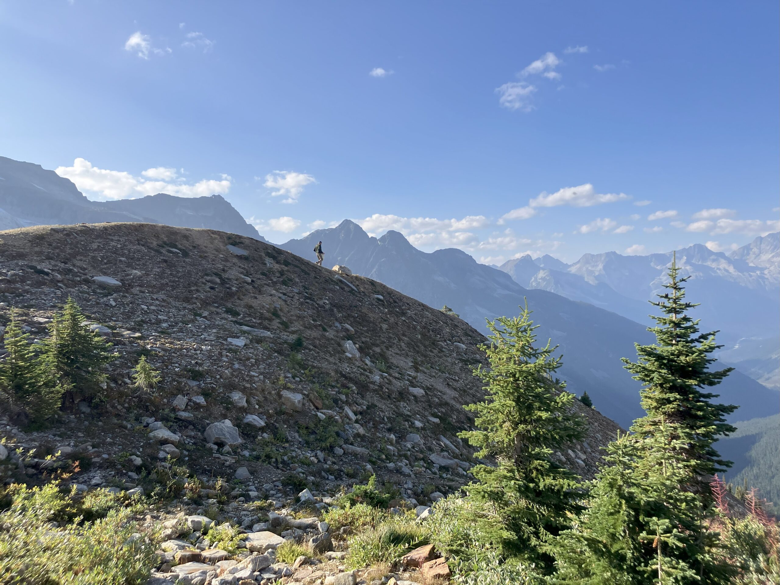 Peter’s Premarket Perspective Friday, May 15, 2026